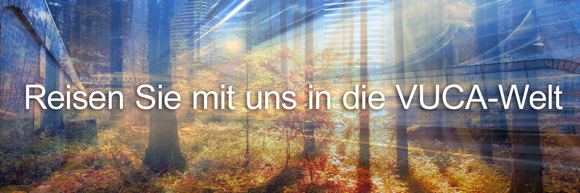 Sonnendurchfluteter Herbstwald